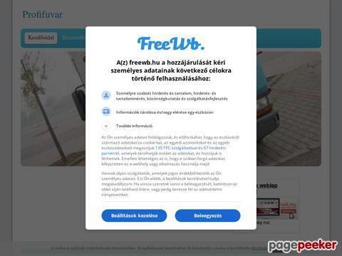 Profifuvar
