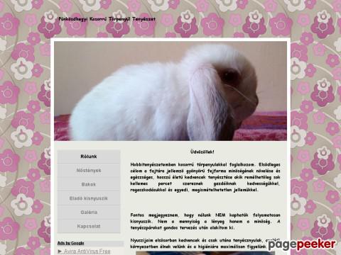 Punkosdhegyi