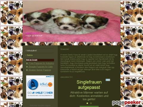 Puppies