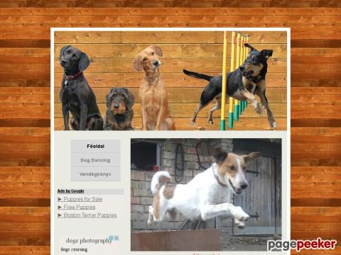 Puppiesanddogs - Puppies And Dogs