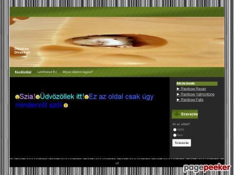 Rainbow - Itt kezdődik