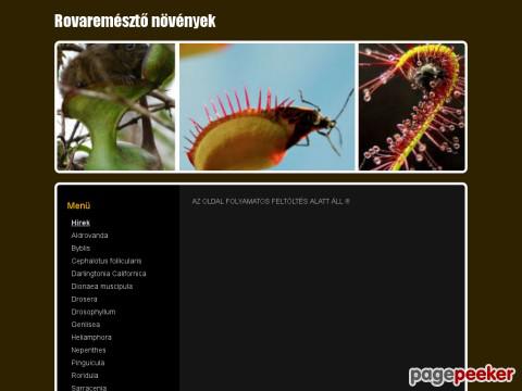 Rovaremeszto - Bevezető