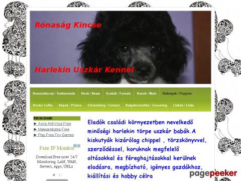 Semminincs - Vendégkönyv