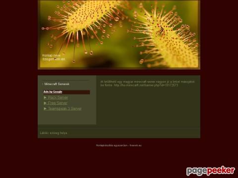 Serverek - Minecraft Server letőltések itt