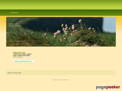 Sfi - jövedelem, pénz, kereset, kifizetés