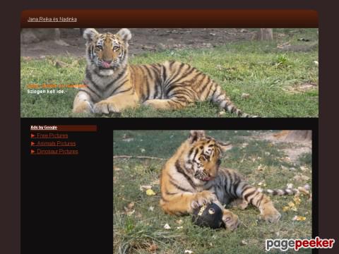 Siberiantigers