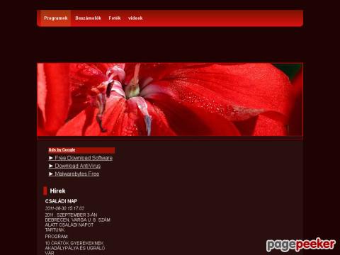 Sinaprogram