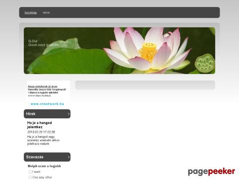 Songfinder