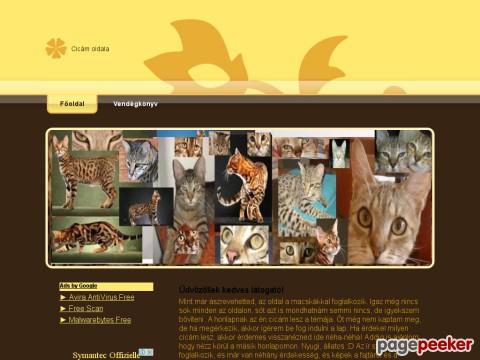 Spottedcat