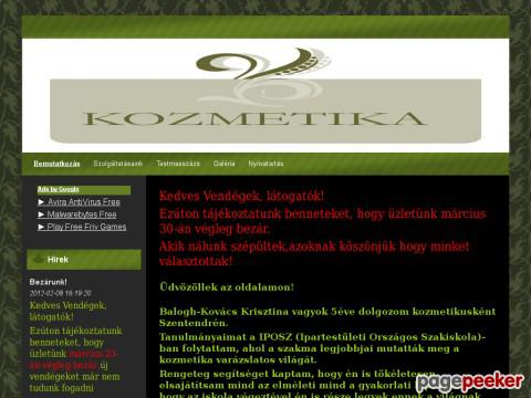 Stiluskozmetika