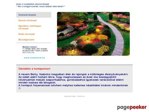 Szabolcsidisznovenyek - szobanövényeim