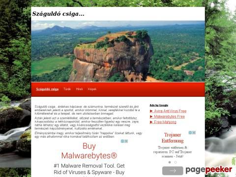 Szaguldocsiga