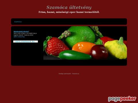 Szamoca - szamóca, eper termesztés