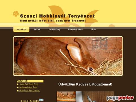 Szaszihobbinyul - Vörös Újzélandi, Klein Rex, nyúl
