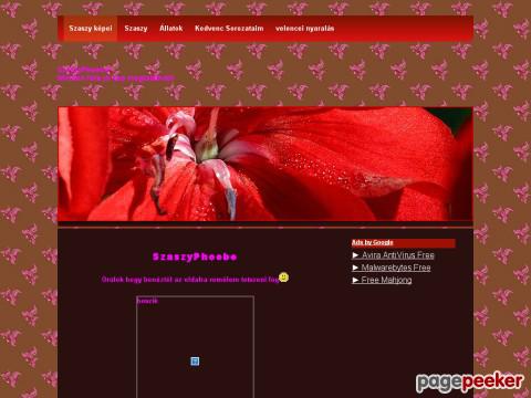 Szaszyphoebe - szaszyphoebe