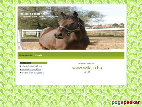 Szilajlobaratikor - bemutatkozás