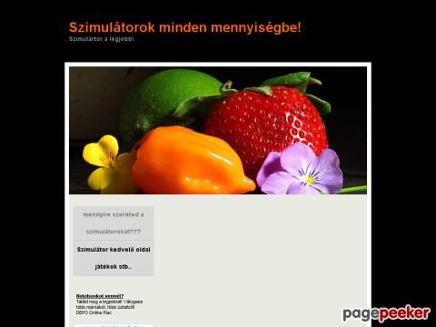 Szimulatorok