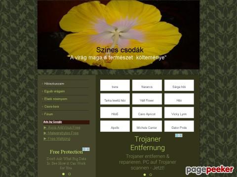 Szinescsodak - különleges hibiszkusz