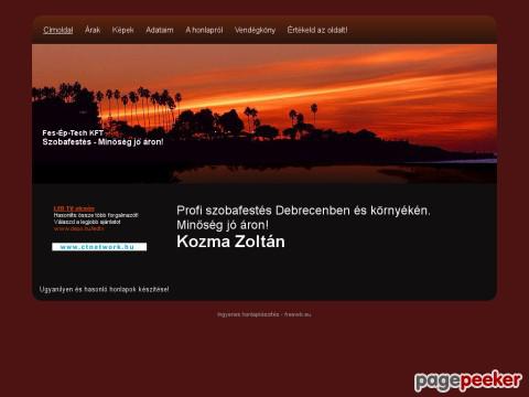 Szobafestes - Szobafestés