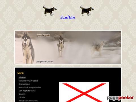 Szultanhusky - Szultán a mi huskynk