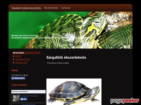 Tekno - teknős tudakvó