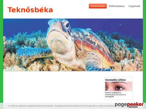 Teknosbeka - Kezdőoldal