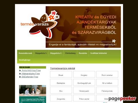 Termesvarazs - Bemutatkozás