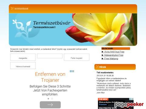 Termeszetbuvar