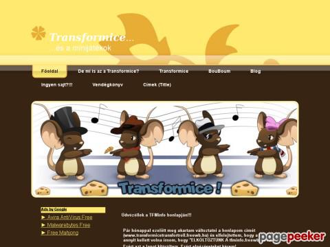 Tfminfo
