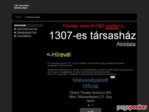 Th1307