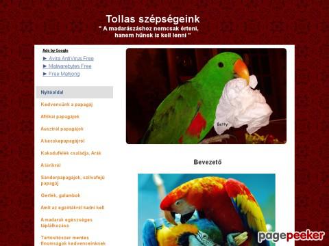 Tollasszepsegek - papagájok