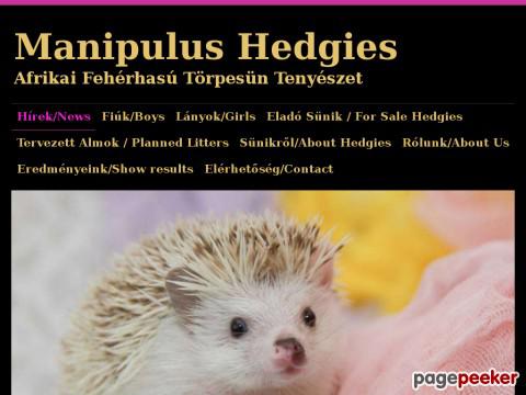 Torpesuni - Manipulus Hedgies Törpesün Tenyészet