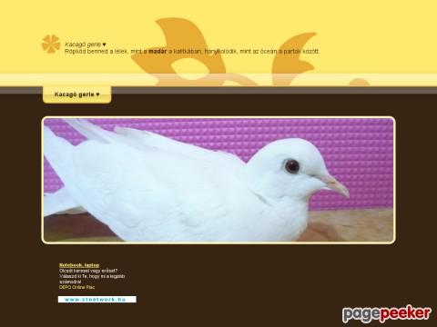 Tuba - kacagó gerle