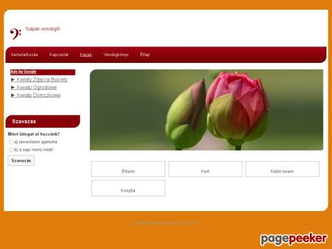 Tulipan