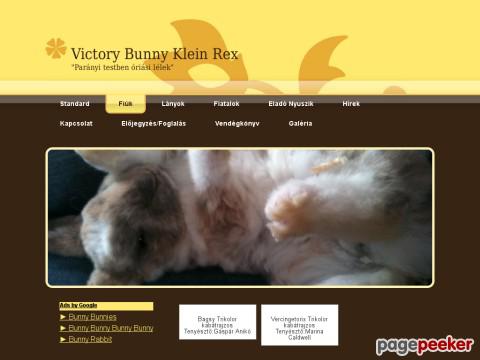 Victorybunnyhungary