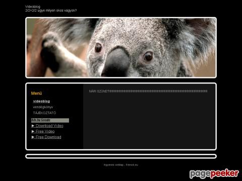 Videoblog