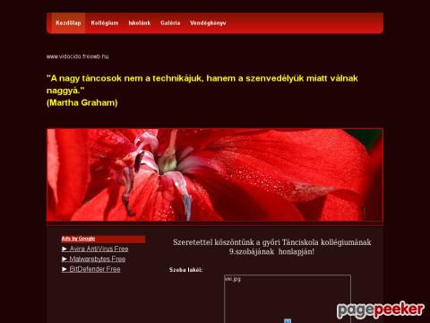 Vidocido - Győri tánc és képzőművészeti kollégium 9.  ...