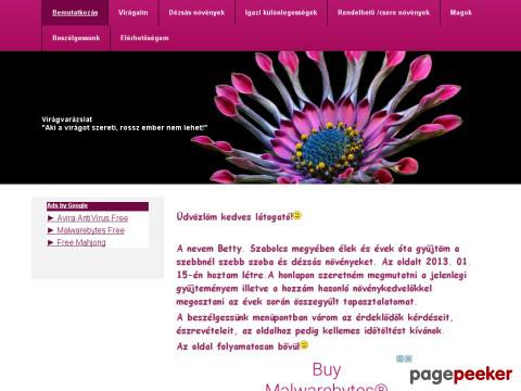 Viragvarazslat