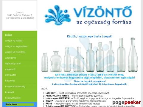 Vizonto