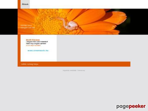 Website