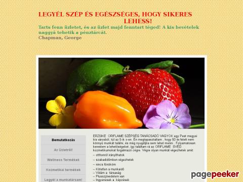 Wellnesskozmetikauzlet