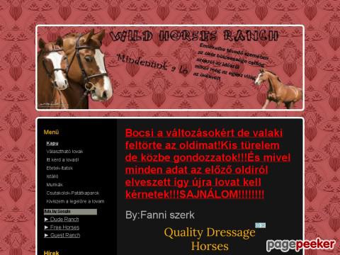 Wildhorsesranch - Főoldal