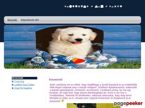 Wonderfuldogworld