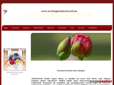 Workingkatalin - Bemutatkozás