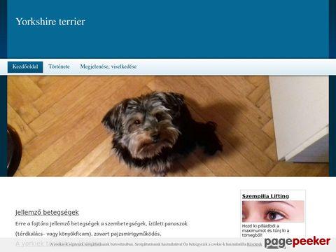 Yorkshireterrier