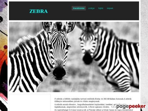 Zebrak - Kezdőoldal