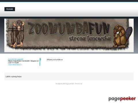 Zoomumbafan